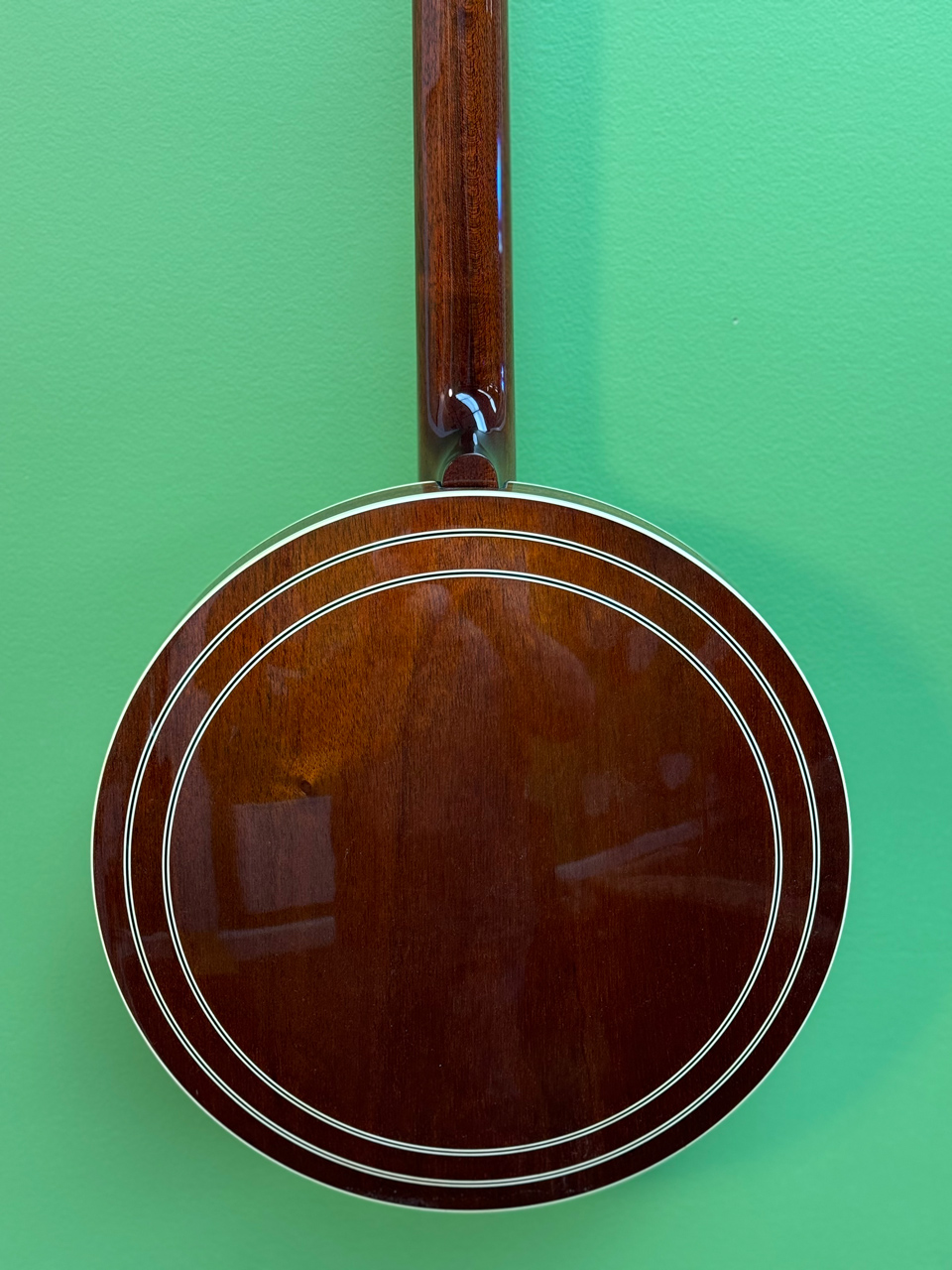shelby blackhawk banjo