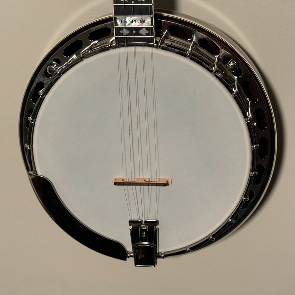 shelby es special banjo