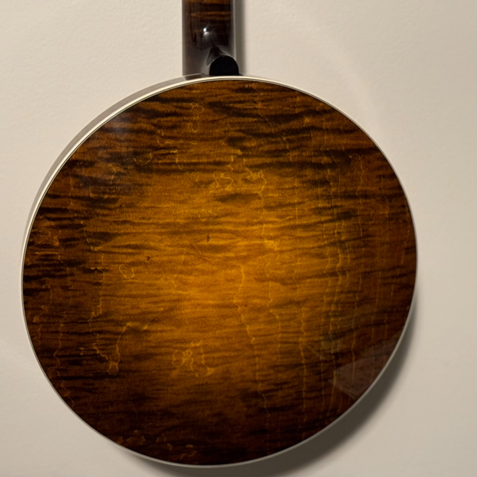 shelby es special banjo resonator