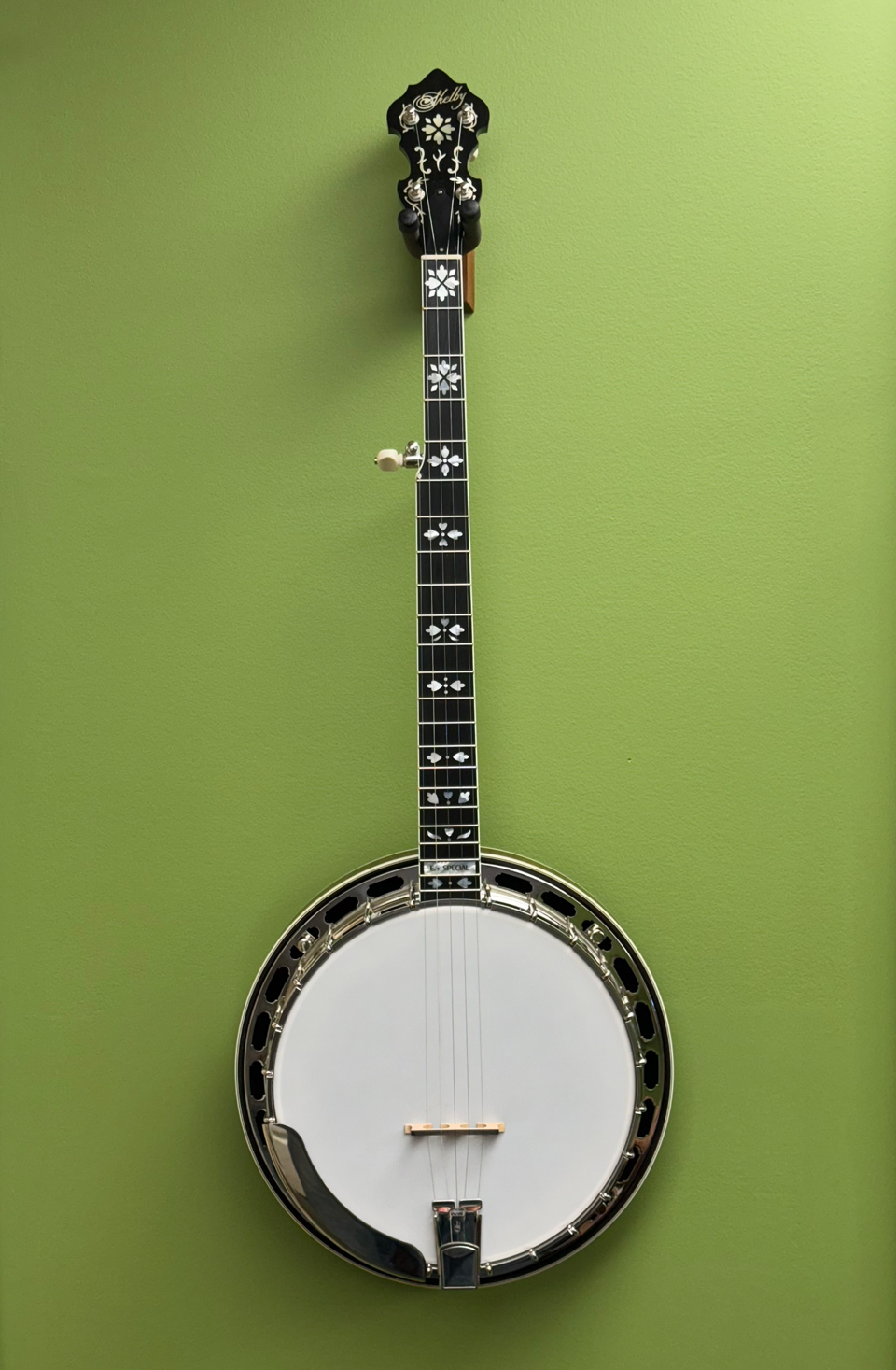 shelby es special banjo
