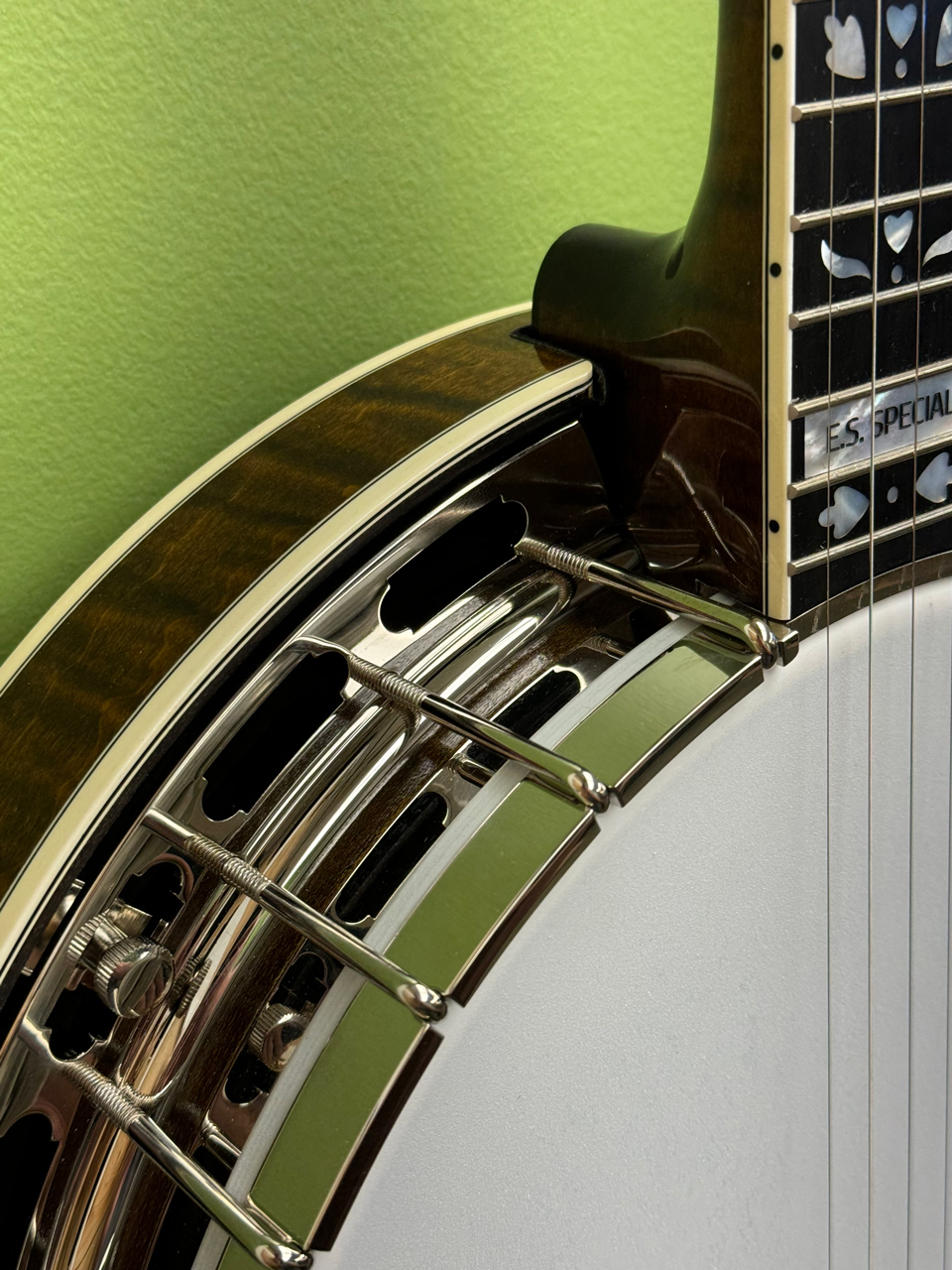 shelby es special banjo
