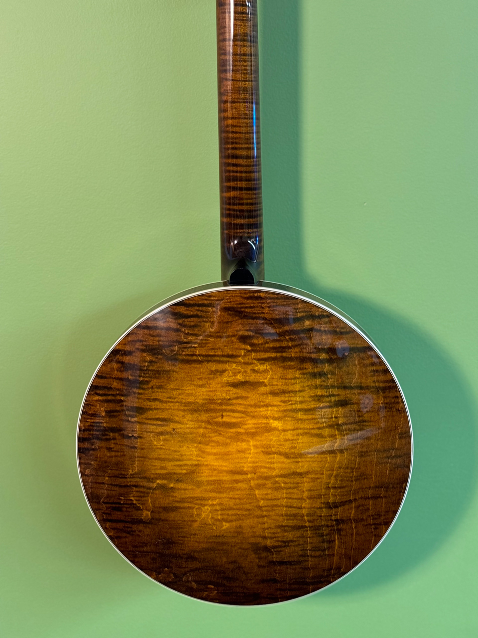 shelby es special banjo