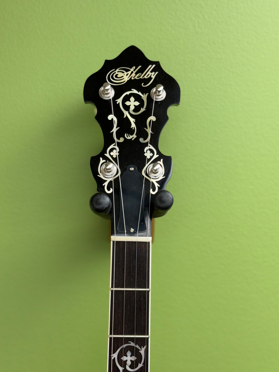 shelby whitewater banjo