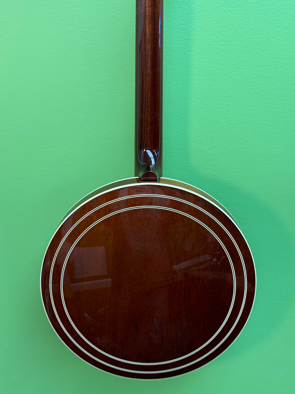 shelby whitewater banjo resonator