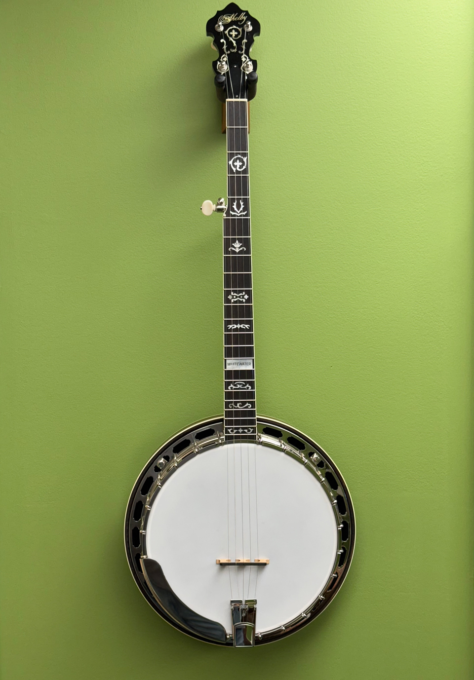 shelby whitewater banjo